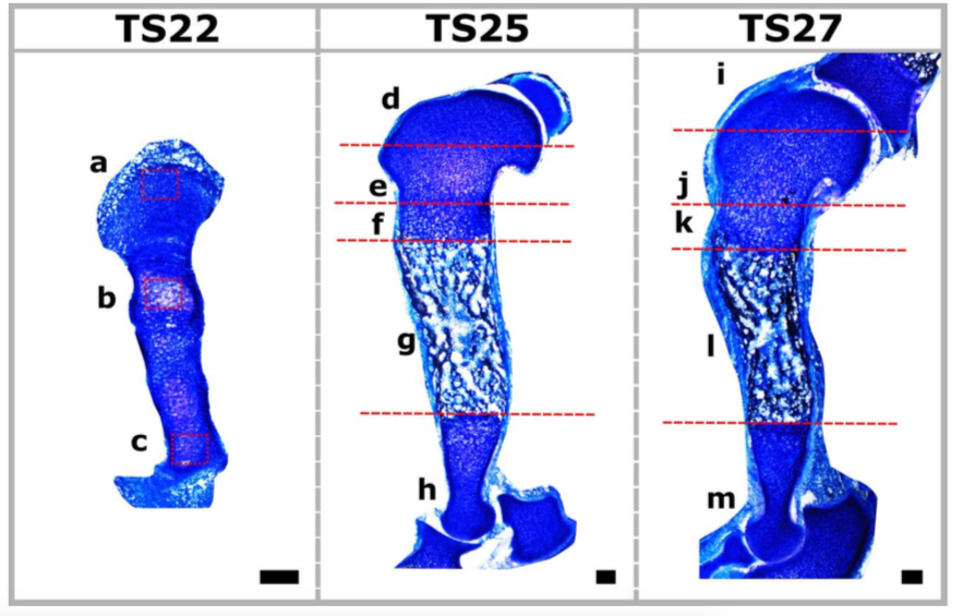 Screen Shot 2020-02-27 at 09.45.26