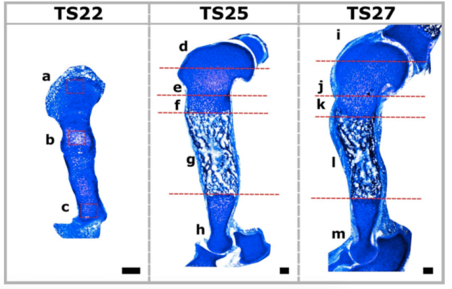Screen Shot 2020-02-27 at 09.45.26