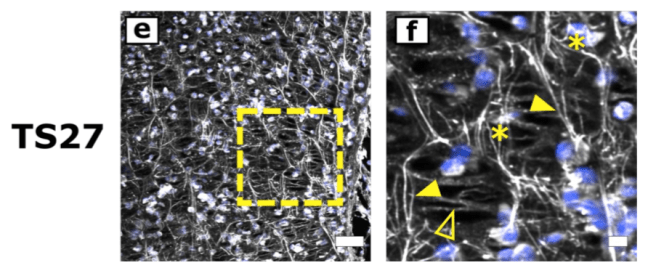 Screen Shot 2020-02-27 at 09.49.02